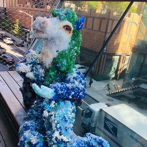 Meet your Posher, Rose ann